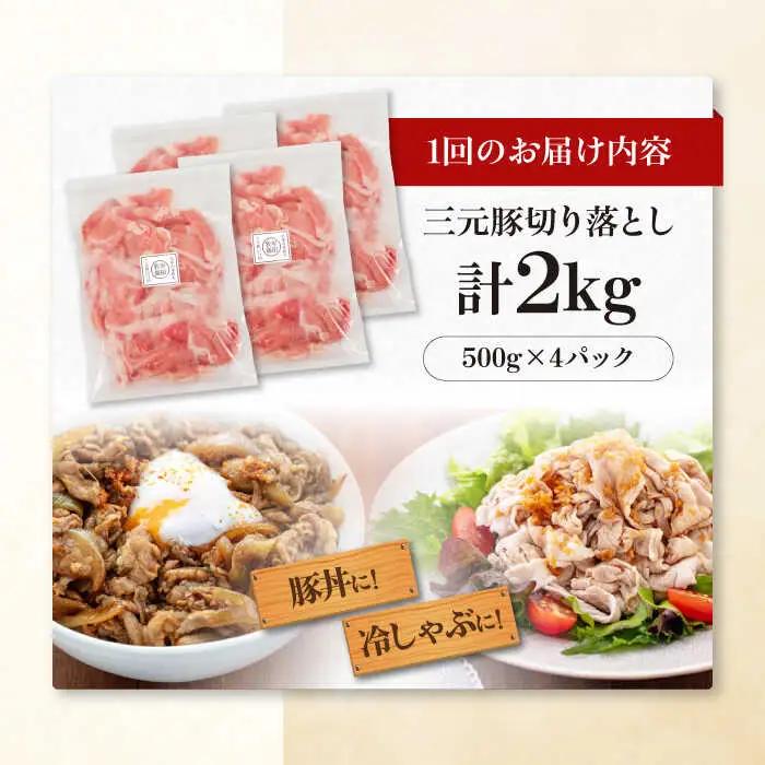 【全3回定期便】平田牧場 切り落とし 2kg (500g×4P)  豚肉 切り落とし 小分け [AJAP035]