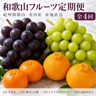 ふるさと納税 有田川町 【発送月固定定期便】紀州和歌山産旬のフルーツセット(種なし巨峰・シャイン・みかん・不知火)全4回