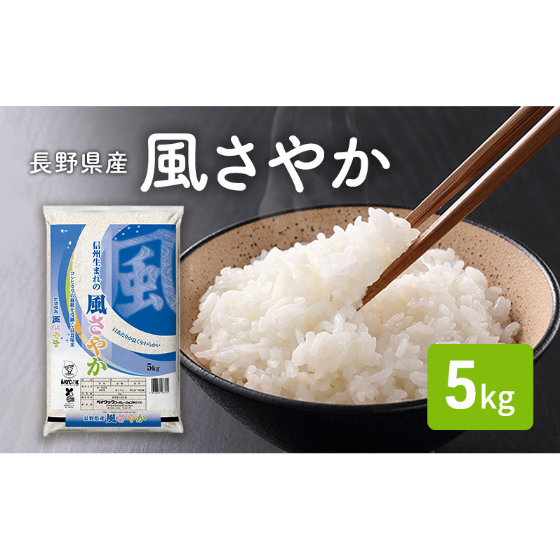 令和7年産 長野県産 風さやか 5kg お米 