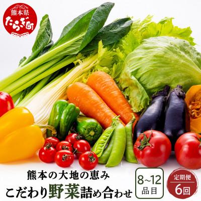 ふるさと納税 多良木町 【毎月定期便】熊本の大地の恵み 旬のこだわり野菜詰め合わせセット 8〜12品(3〜4名様向け)全6回