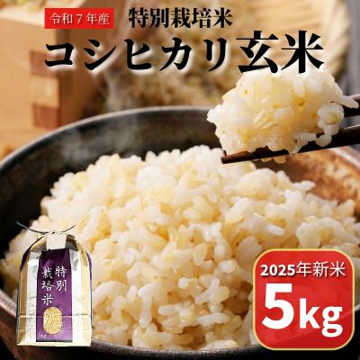 ふるさと納税 小松島市 【2025年9月より順次発送】コシヒカリ 玄米 5kg 特別栽培米 新米 一等米 こめ お米 健康