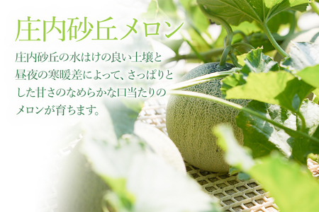 【令和8年産先行予約】アンデスメロン（青肉） 約4.5kg 2L～4L 【秀品】 3玉～５玉入 【令和8年6月下旬～7月下旬頃発送予定】 山形県鶴岡産 庄内砂丘メロン 御殿まりメロン 丸果庄内青果 