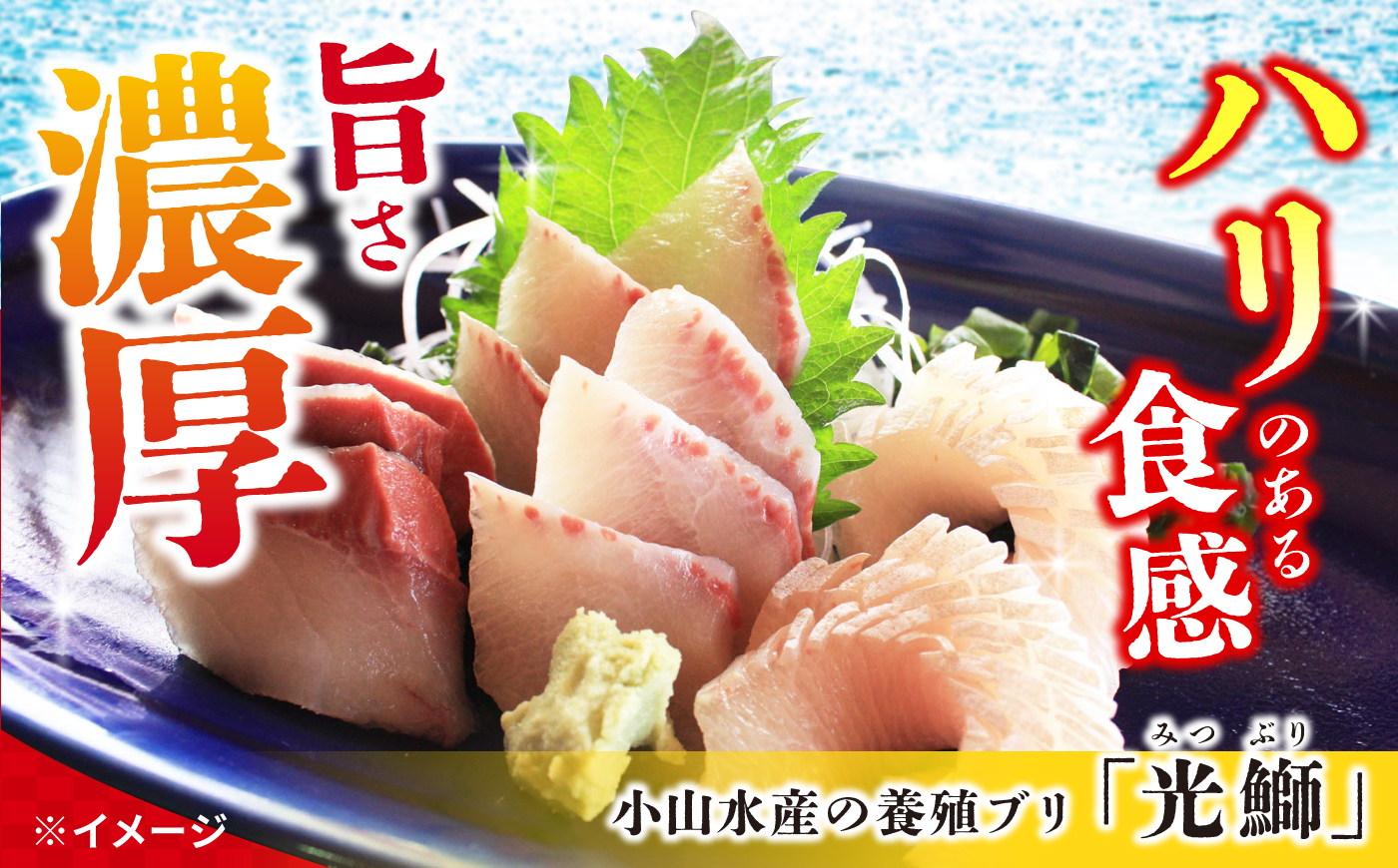 【呼子ノ瀬戸名物】養殖ブリ「光鰤」1本 皮付き 約3kg～＜小山水産＞ [CDZ006]