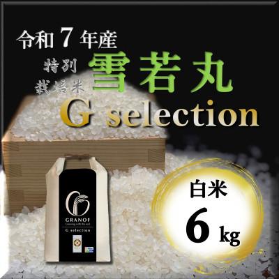 ふるさと納税 鶴岡市 【令和7年産】山形県鶴岡産 Gセレクション 雪若丸 白米 6kg
