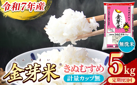 BG無洗米・金芽米きぬむすめ 5kg×3ヵ月 定期便【毎月】計量カップなし【令和7年産 3ヶ月 計15kg 東洋ライス 健康 島根県 安来市】