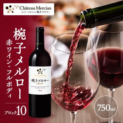 ふるさと納税 上田市 椀子メルロー ブロック10 750ml限定品 シャトー・メルシャン メルロー 赤[54040424]