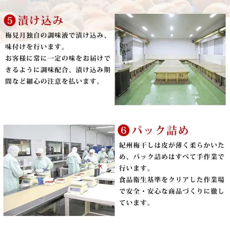 紀州南高梅 大トロつぶれ梅 300g×3個／塩分5％　【mryms003】