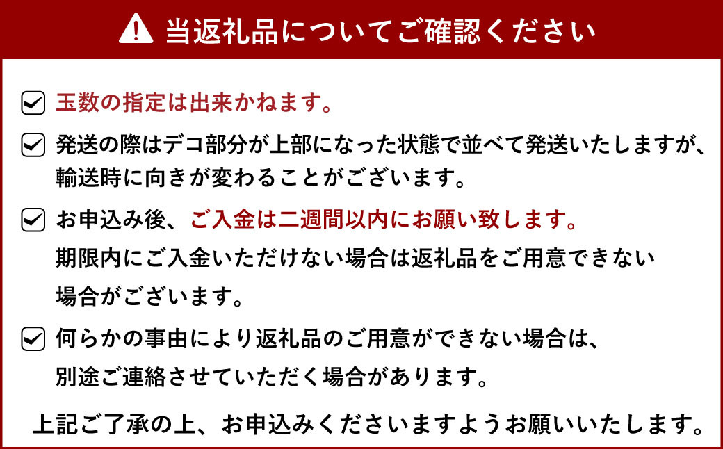 不知火 約10kg（40玉前後）ひがし果樹園 柑橘 果物