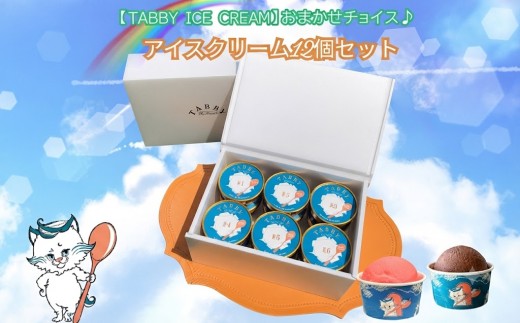 【TABBY ICE CREAM】おまかせチョイス♪アイスクリーム12個セット   自家製  厳選素材