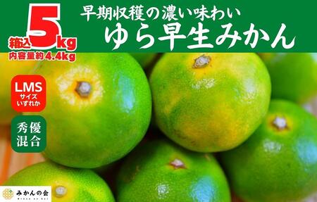 ゆら早生 みかん 箱入5kg(内容量 4.4kg) SMLサイズのいずれか 秀品 優品 混合 有田みかん 和歌山県産 【みかんの会】