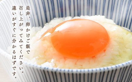【6ヶ月連続お届け】 福井ブランド 「福地鶏」 の卵 20個 濃厚で甘くておいしい！  定期便 ／ 卵 たまご 鶏卵 生卵 有精卵 高級 高級卵 福地鶏 鶏 平飼い 美味しい こだわり 6ヶ月 定期便