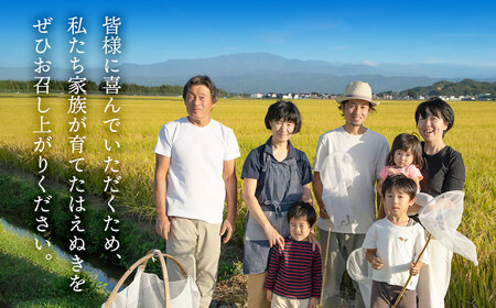 【令和8年産先行予約】富樫農園のはえぬき 精米5kg（5㎏×1袋） 山形県鶴岡市産　[K-840]