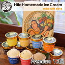 【ふるさと納税】アイス Hilo Homemade Ice Cream プレミアムアイスクリーム 12個 セット ヒロホームメイドアイス スイーツ おやつ デザート 手作り ギフト 贈答 お取り寄せ 冷凍 神奈川 藤沢　藤沢市