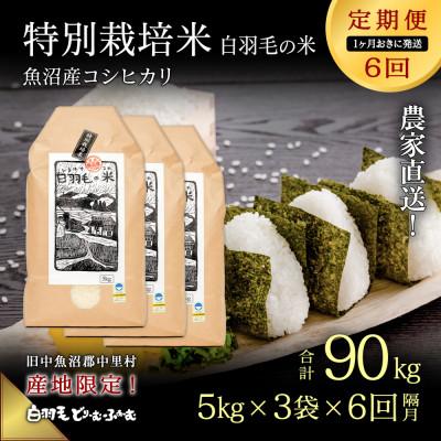 ふるさと納税 十日町市 【2ヵ月毎定期便】農家直送!魚沼産コシヒカリ特別栽培 精米(5kg×3袋)全6回