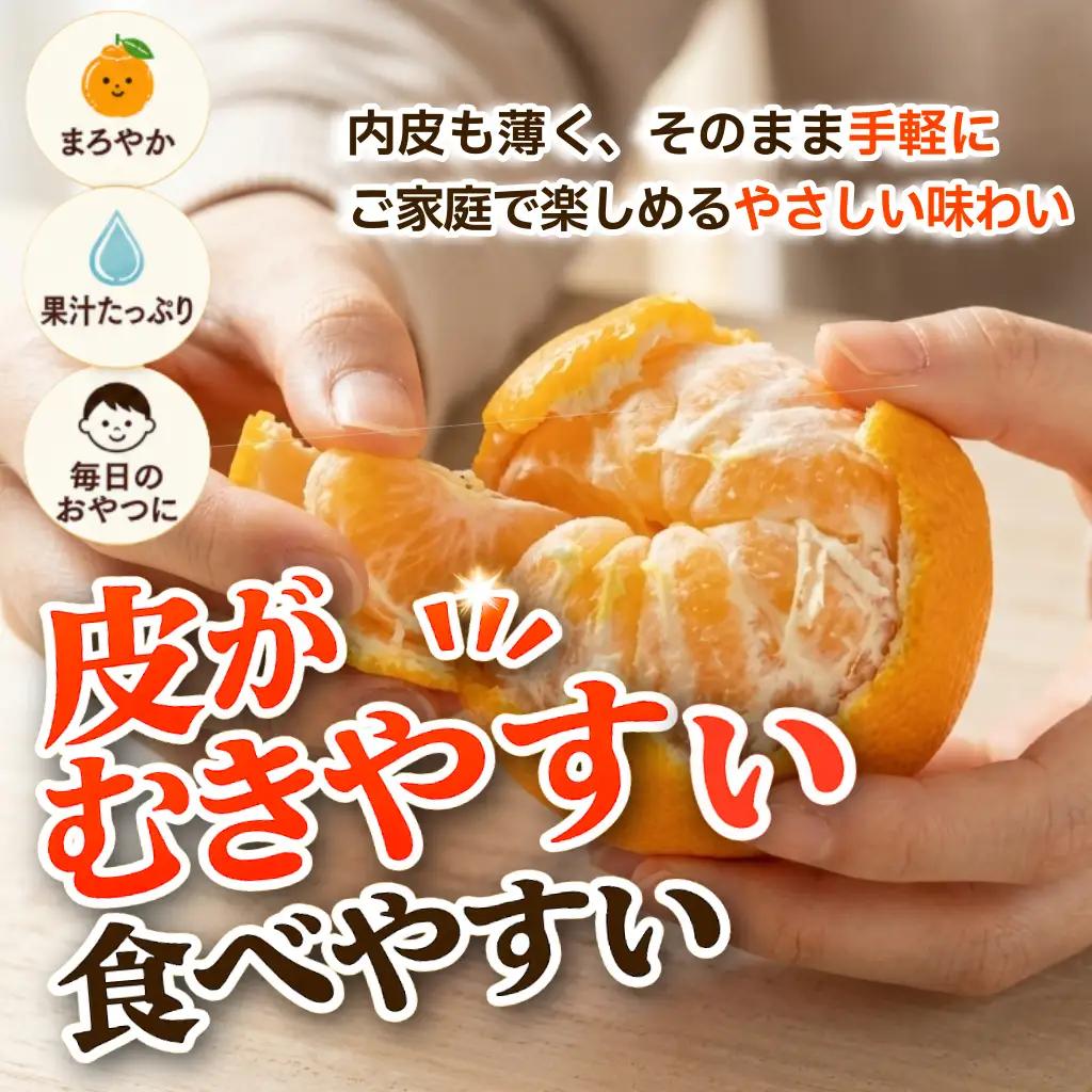 【2月上旬より順次発送】デコポン 訳あり 5.5kg 柑橘 デコポン