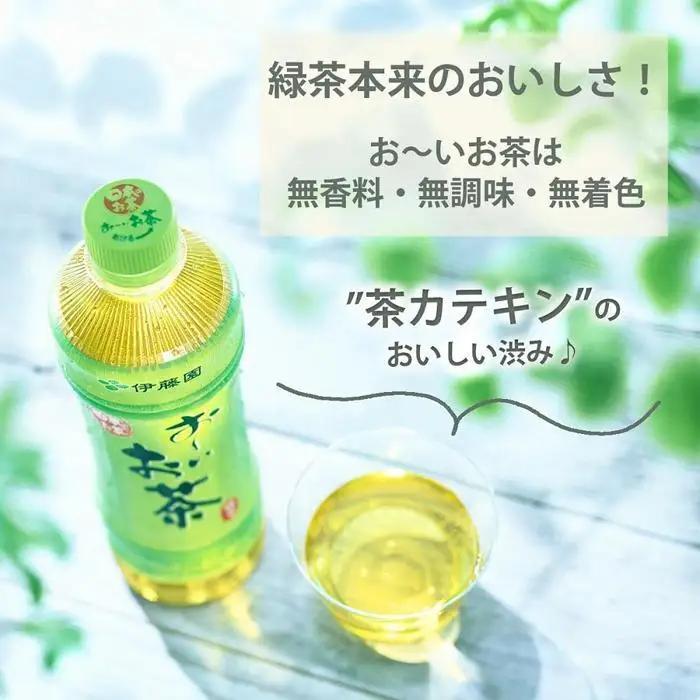 お～いお茶　緑茶　600ml×２ケース（48本）