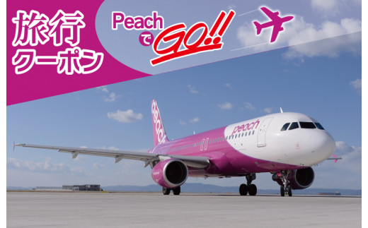 
050F082 PeachでGo！！（泉佐野市内宿泊編）旅行クーポン（15,000円分）
