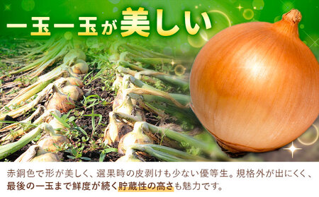 【先行予約】玉ねぎ たまねぎ 玉葱 選べる 約10kg サイズ混合《2026年10月上旬から11月上旬頃出荷》嶋崎農園 送料無料 北海道 本別町 北海道 十勝 本別町産 オニオン カレー サラダ スー