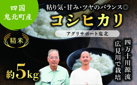 
                  【先行予約】【令和8年度産新米】コシヒカリ 約5kg （精米済み） | 精米 お米 米 白米 人気 ランキング 愛媛県 鬼北町 四国 国産 アグリサポート鬼北 ※離島への配送不可 ※2026年9月上旬～12月下旬頃に順次発送予定
                