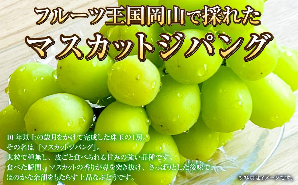 岡山県産 マスカットジパング 約800g（1房）
