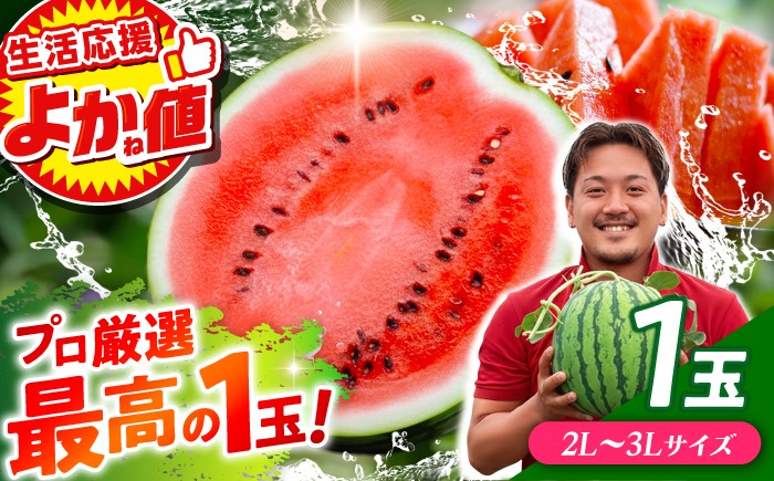 
                  すいか ＼生活応援キャンペーン／ 大玉スイカ！ 2L～3Lサイズ（約7kg～9kg） 厳選 1玉！ すいかの名産地 熊本からお届け 【城野農園】 [ZFV001]
                