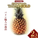 【ふるさと納税】最高級パイナップル　TADAO GOLD　2玉　約3.5kg【ゴールドバレル】2025年発送 ゴールドバレル パイナップル タダオゴールド たまき ただお 逸品 パインアップル 最高級 国産パイン 贈答用 パイン 匠 高級フルーツ 南国フルーツ パイン職人 希少 玉城忠男