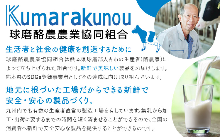 球磨の恵み のむヨーグルト 450g×4本 150g×12本 球磨酪農農業協同組合《30日以内に出荷予定(土日祝除く)》熊本県 球磨郡 山江村 球磨の恵みのむヨーグルト 加糖 砂糖不使用 熊本県産 生