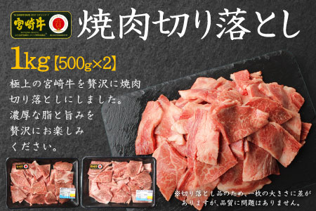 ＜焼肉用＞宮崎牛切り落とし1kg ※90日以内に発送【C269-24】