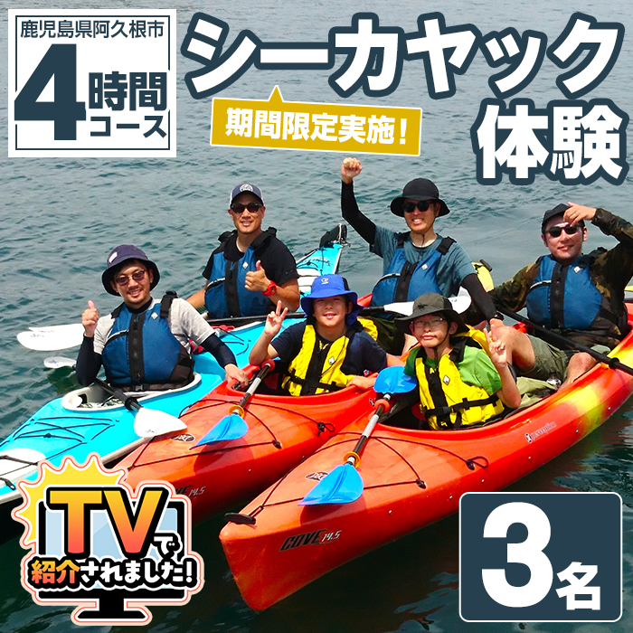 期間限定実施 シーカヤック体験チケット(4時間/3名) 阿久根 シーカヤック アウトドア アクティビティ 自然 体験 ツアー チケット マリンスポーツ【パズル】akn098-11