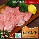 【ふるさと納税】とちぎ和牛・前日光和牛（ロースすき焼き・しゃぶしゃぶ用500g／1kg）｜肉 お肉 和牛 最高級 A5ランク A5等級 すき焼き