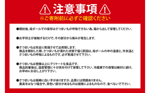 【普通栽培】 訳あり 紅はるか さつまいも 10kg 生芋 生さつまいも べにはるか 薩摩芋 数量限定 先行予約 根菜 野菜 スイーツ 子供 焼き芋 天ぷら やきいも さつま芋 satumaimo 茨城県 鹿嶋市 【2026年10月以降順次出荷】