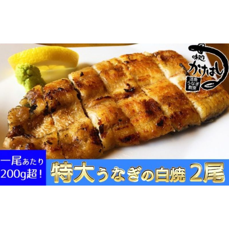 【ふるさと納税】心に染みる「かけはし」の味 特大 うなぎの白焼き 2尾 鰻
