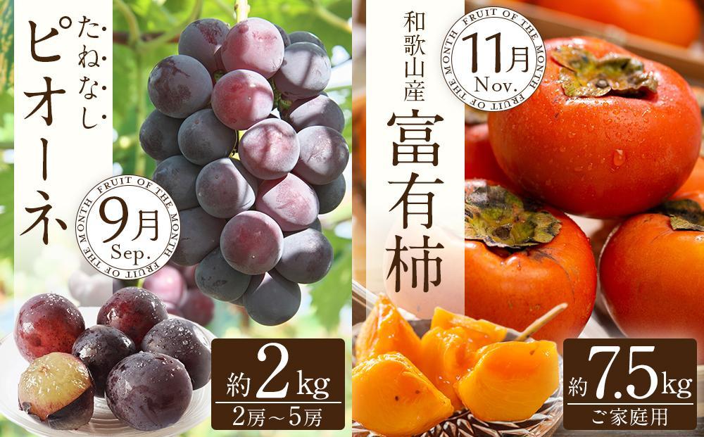和歌山の旬の果実を 奇数月にお届け全6回定期便（キウイ・清見オレンジ・ミニトマト・桃・ピオーネ・富有柿）【TM62】