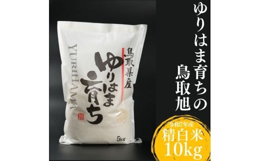 377K.ゆりはま育ちの鳥取旭◇精白米10kg◇令和7年産