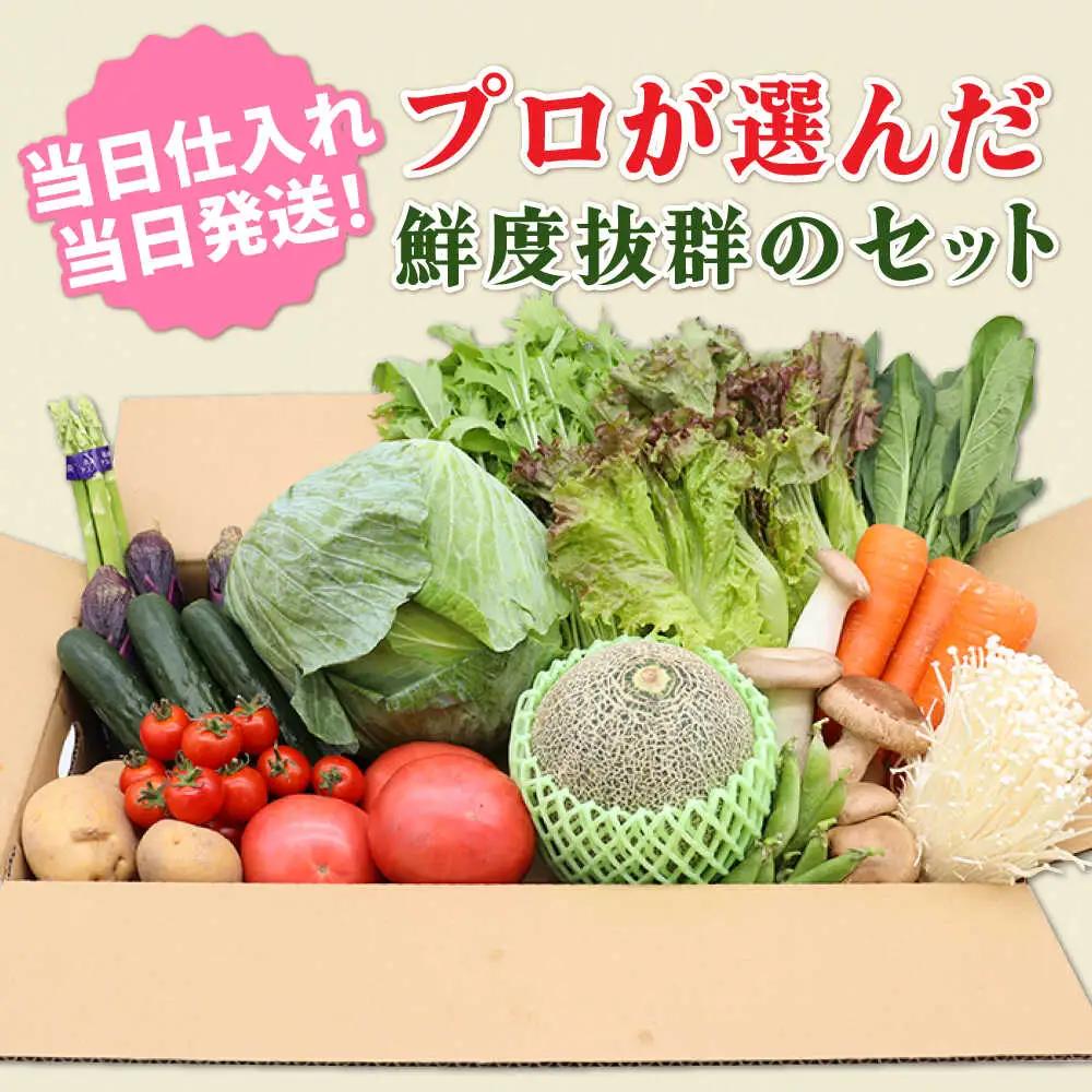 【全24回 月2回お届け】野菜定期便15品目以上 [SCZ003]