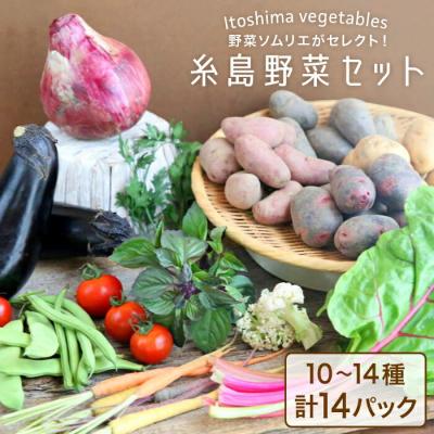 ふるさと納税 糸島市 旬を味わう 糸島 野菜 セット 10〜14種(計14パック) [AJB001]
