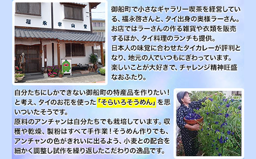 そらいろそうめん濃色 選べる 2セット 3セット 6セット 福永幸山堂《30日以内に出荷予定(土日祝除く)》_イメージ3
