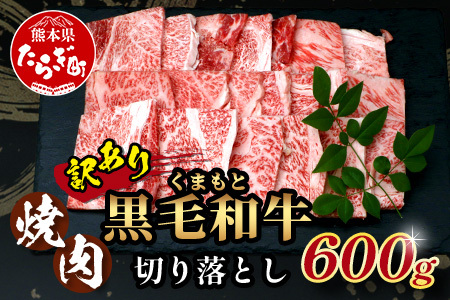 【定期便3回】《 訳あり 》くまもと 黒毛和牛 焼肉 切り落とし 600g ×3回 お届け 本場 熊本県 黒毛 和牛 ブランド 牛 肉 焼き肉 やきにく 上質 くまもと 訳アリ 113-0518