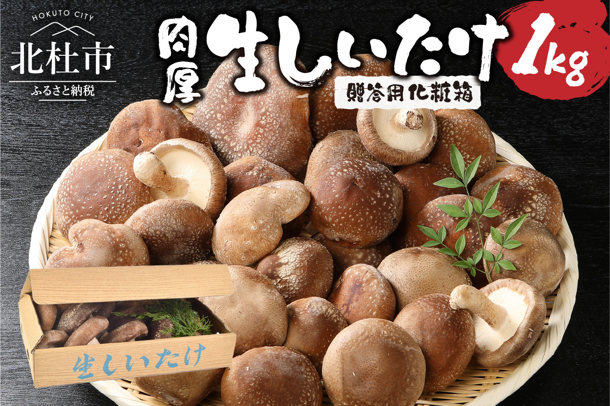 
            贈答用 生しいたけ(1kg)
          