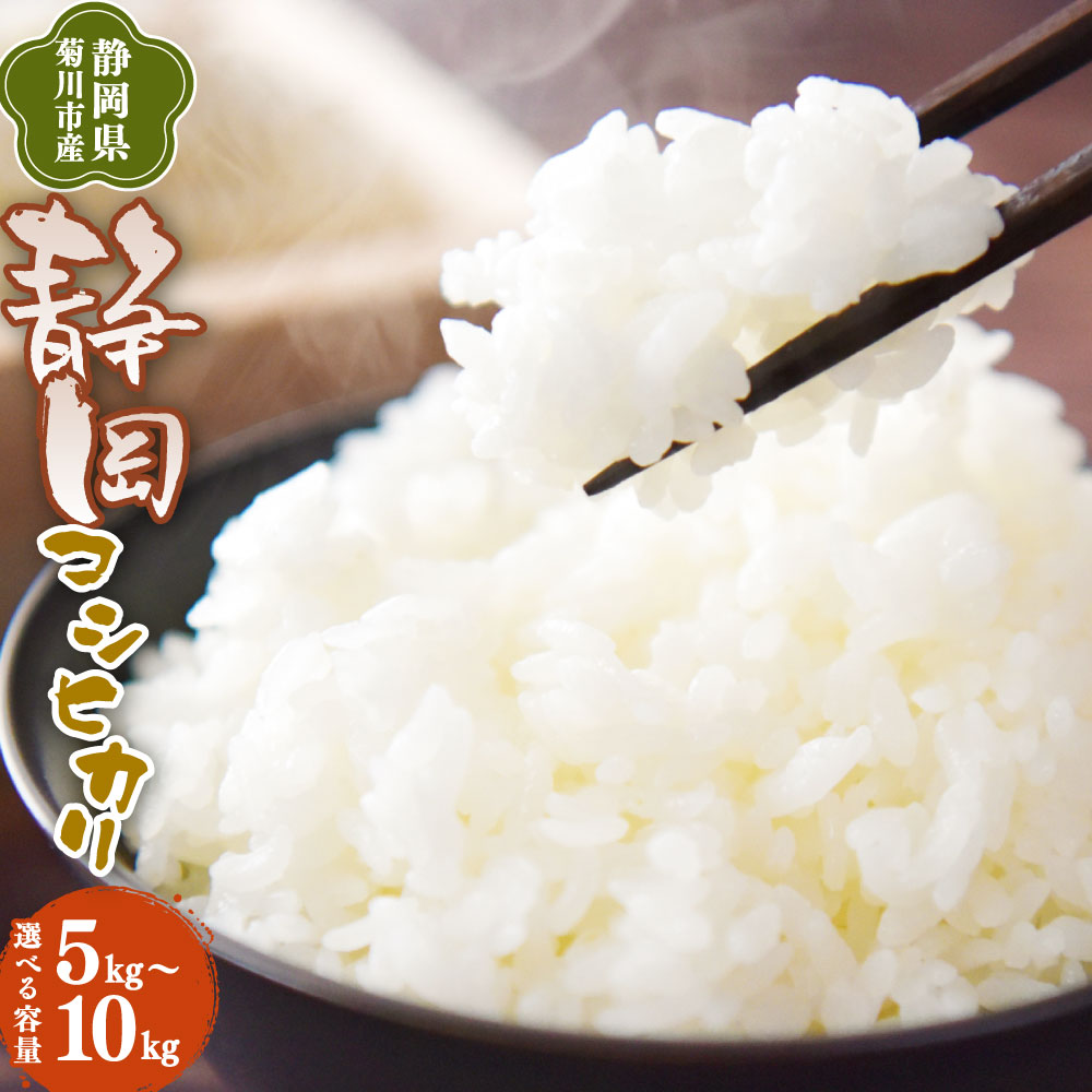 【ふるさと納税】先行予約 ＜選べる発送時期・内容量＞【令和8年産】菊川市産 静岡コシヒカリ 白米 5kg 10kg 米 お米 単一原料米 5キロ 10キロ おにぎり お弁当 静岡県産 国産 静岡県 菊川市 送料無料 【2026年10月上旬～2027年3月下旬発送予定】