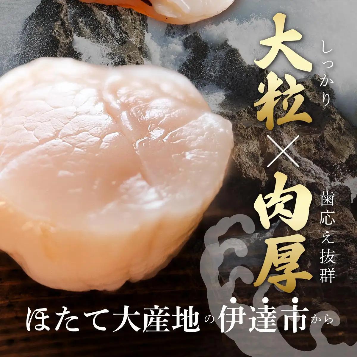 ＜定期便2回＞北海道 噴火湾産 ほたて貝柱 玉冷 1kg 30粒 ～ 40粒 大粒 S【55250932-a002】