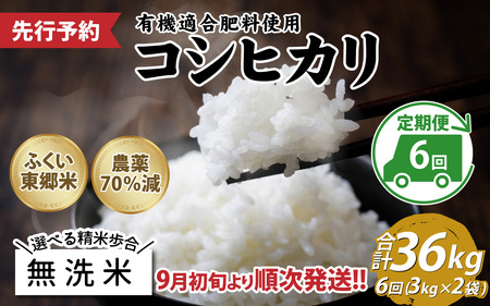 【無洗米】【定期便6ヶ月連続】令和6年産 新米 ふくい東郷米 特別栽培米 農薬70％減 コシヒカリ 6kg(3kg×2袋)×6ヶ月 合計36kg[J-020023_04]