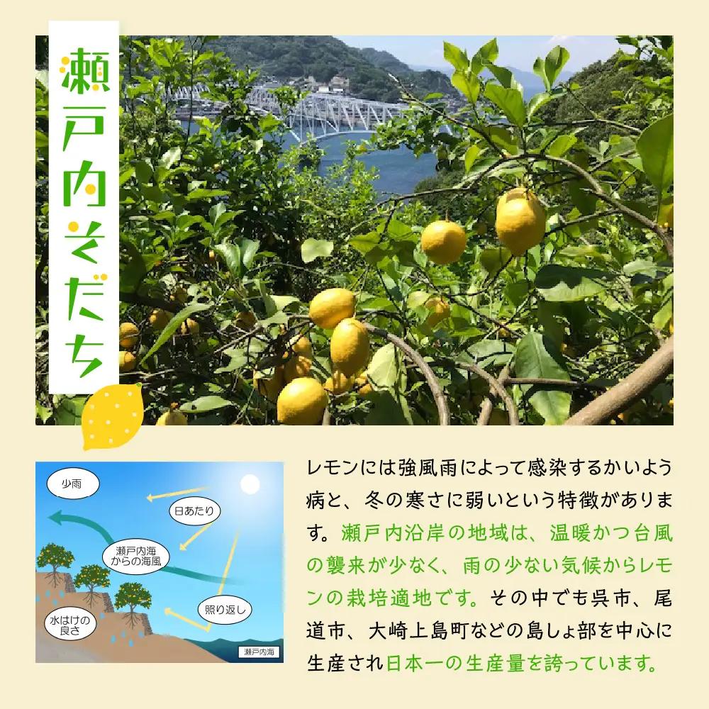 先行受付2026年11月～発送 栽培期間中農薬不使用瀬戸内レモン3kg