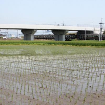 ふるさと納税 小郡市 100年続く田中農園のうまい米 元気つくし 「田中茂米」 精米 5kg[No5354-2181] |  | 02