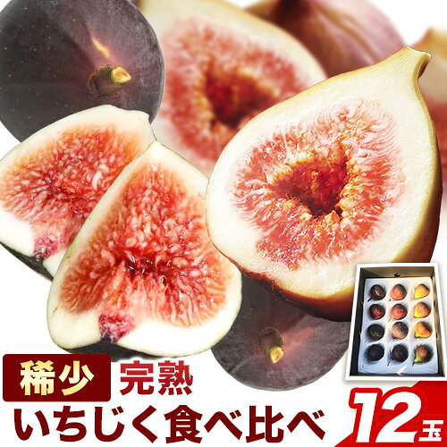 【ふるさと納税】【先行予約】いちじく 朝採り完熟 稀少いちじく食べ比べセット 計12玉 2023年9月野菜ソムリエサミット金賞受賞 ハッピーファーム《8月下旬-11月上旬頃出荷》大阪府 羽曳野市 送料無料 いちじく 果物 フルーツ ビオレソリエス ブルジャソットグリース