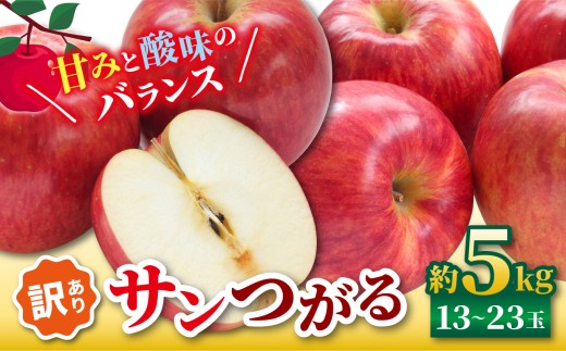 【2026年先行予約】訳あり サンつがる 約5kg ｜ 浅野農園 リンゴ りんご 林檎 果物 くだもの フルーツ 果実 果汁サンつがる さんつがる 訳あり 長野県 松川村 信州