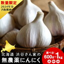 【ふるさと納税】2024年分予約【数量限定】渋谷さん家の「無農薬 にんにく」 選べる600g～1kg 大・中・小サイズ北海道ふるさと納税 積丹町 ふるさと納税 北海道 野菜 無農薬栽培 にんにく 大蒜 無農薬野菜 通販 ギフト 贈答品 贈り物