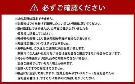 19種類の桃を育てる！ モモナピーチファームの桃 1.5kg（5～7玉） 【2025年6月上旬から10月下旬迄発送予定】 ／ 桃 もも モモ ピーチ 白桃 はくとう 清水白桃 白鳳 恋みらい 旬の桃 
