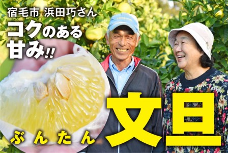 浜田巧の土佐文旦5kg家庭用
