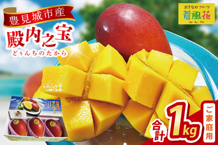 【2026年7月より順次発送】豊見城産マンゴー『殿内之宝(どぅんちのたから)』約1kg(ご家庭用) (DR004)